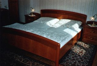 Vienna Accommodation - Bedroom 2